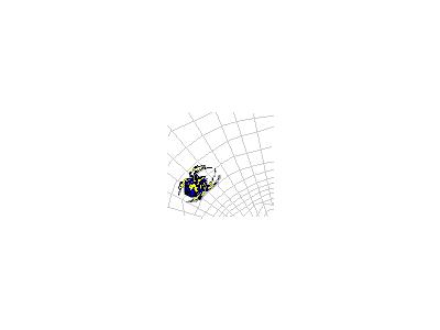 Logo Animals Spiders 005 Animated