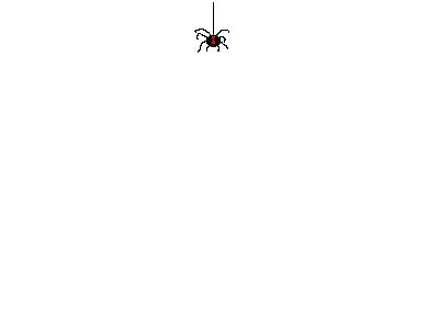 Logo Animals Spiders 013 Animated