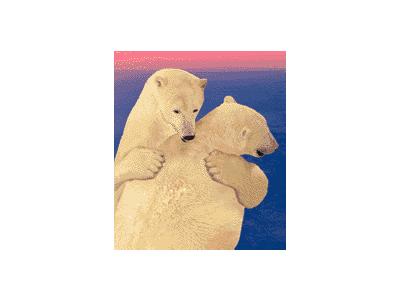 Logo Animals Bears 019 Animated