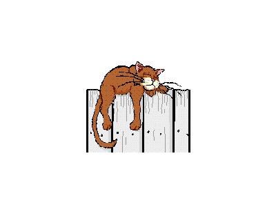 Logo Animals Cats 026 Animated