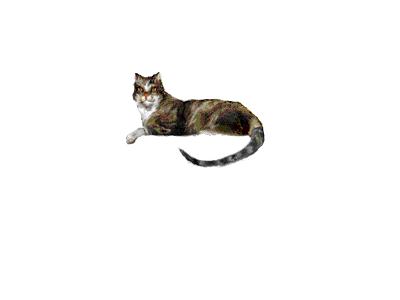 Logo Animals Cats 012 Animated