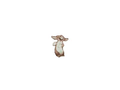Logo Animals Rabbits 010 Animated