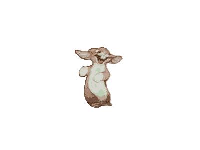 Logo Animals Rabbits 008 Animated