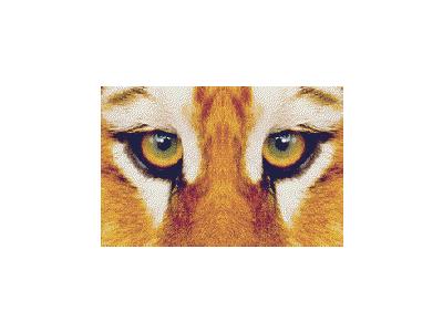 Logo Animals Jungle 055 Color