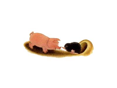 Logo Animals Pigs 007 Color