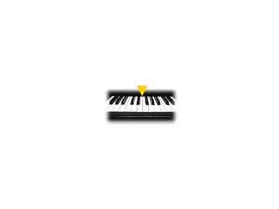 Logo Music Keyboards 029 Animated