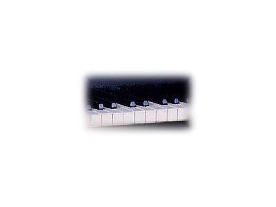 Logo Music Keyboards 026 Color