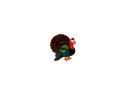 Greetings Turkey04 Animated Thanksgiving