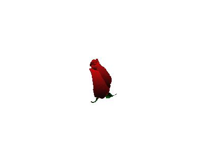 Greetings Rose01 Animated Valentine