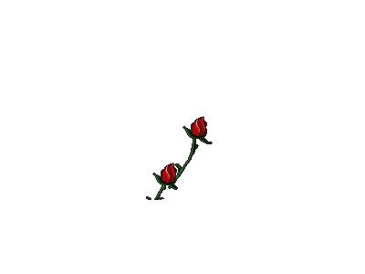 Greetings Rose02 Animated Valentine