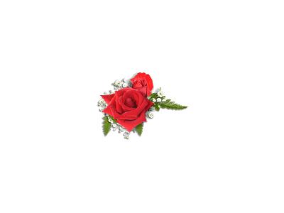 Greetings Rose01 Color Valentine
