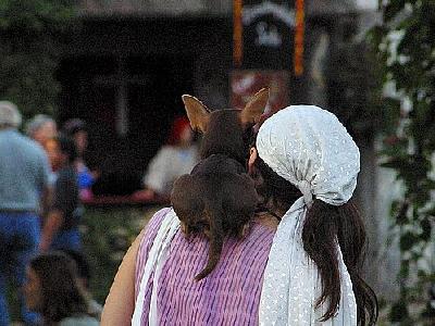 Photo Dog And Woman Animal