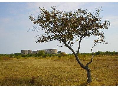 Photo Scandinavian Medieval Castle Building