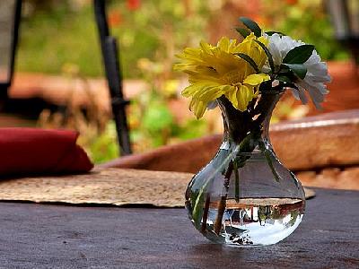Photo Flower And Vase Flower