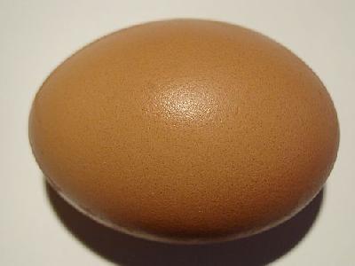 Photo Egg 2 Food