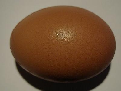 Photo Egg 3 Food