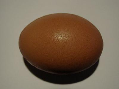 Photo Egg 5 Food
