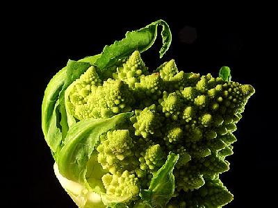 Photo Broccoli Food
