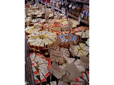 Photo Cheese Display 2 Food