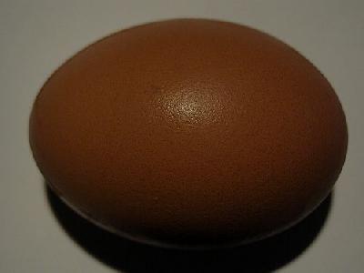 Photo Egg 4 Food