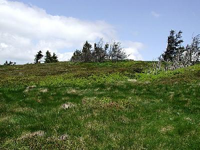 Photo Mountain 102 Landscape