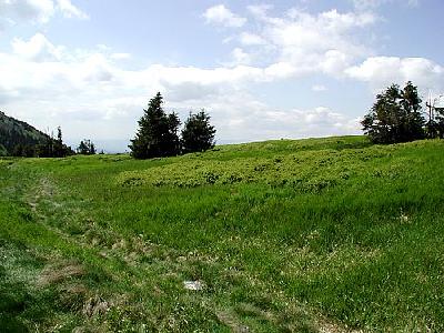 Photo Mountain 108 Landscape