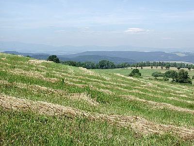 Photo Mountain 19 Landscape