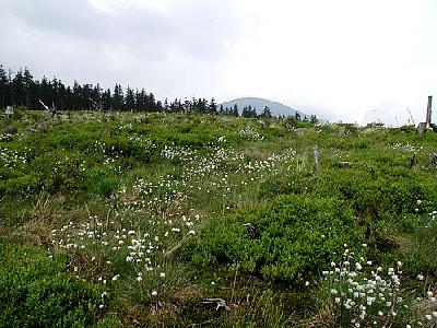 Photo Mountain 6 Landscape