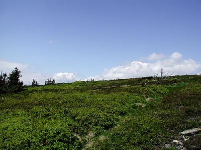 Photo Mountain 97 Landscape