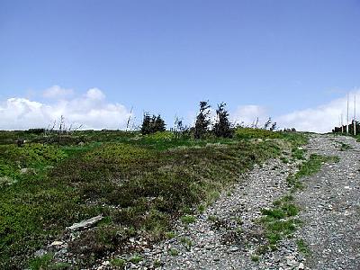 Photo Mountain 98 Landscape