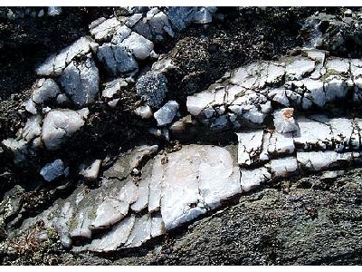 Photo Rock Close Up Landscape