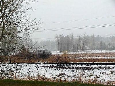 Photo Snow Landscape