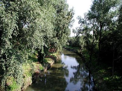 Photo River 2 Landscape