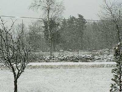 Photo Snowfall Landscape