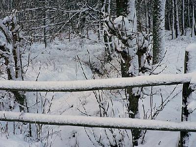 Photo Snowy Wood Fence Landscape