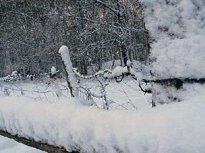 Photo Snowy Wood Fence Close Up Landscape
