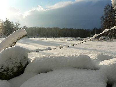Photo Sunny Snowy Fields Landscape