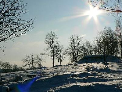 Photo Sunshine On Snowy Tree Hill Landscape
