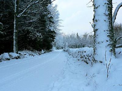 Photo Winter Road Landscape