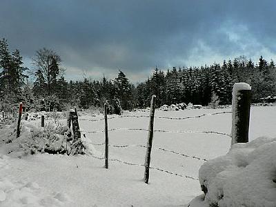 Photo Wire Fence Landscape