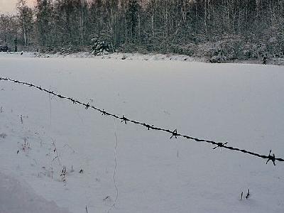 Photo Wire Fence 2 Landscape