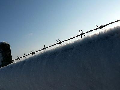 Photo Wired Fence Close Up Landscape