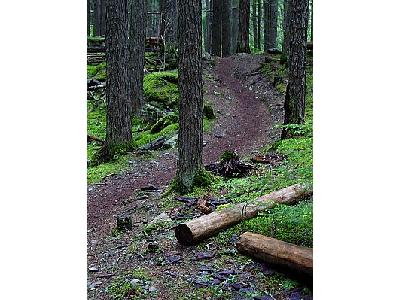 Photo Glacier Trail Landscape