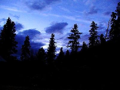 Photo Night Wood Landscape