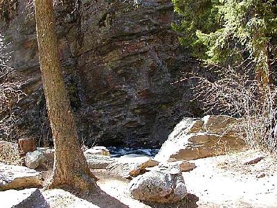 Photo Tree Rock Stream Landscape