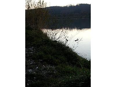 Photo Lake 57 Landscape