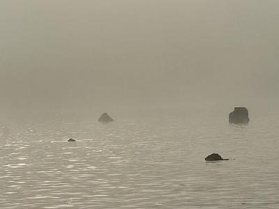 Photo Lake Rocks In Morning Mist Landscape