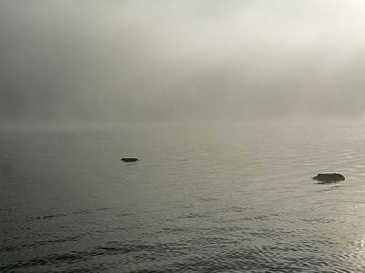 Photo Lake Rocks In Morning Mist 2 Landscape
