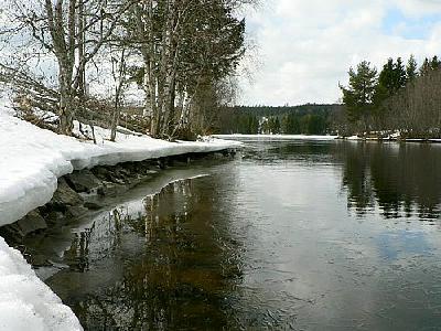 Photo Lake Side Landscape