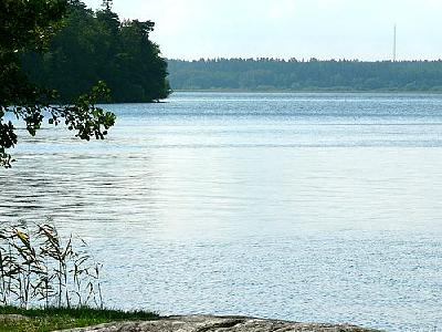 Photo Lake Water Landscape